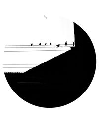Low angle view of silhouette birds against clear sky