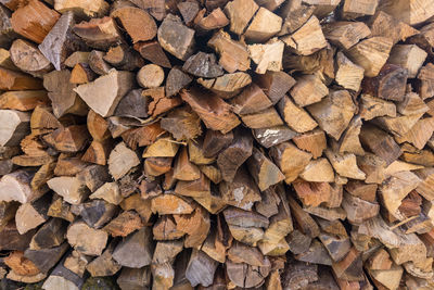 Full frame shot of logs in forest