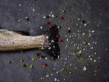 Close-up of fish and spices on table