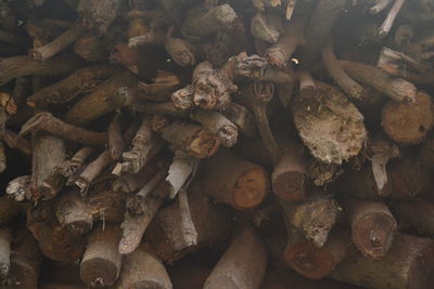 Full frame shot of logs