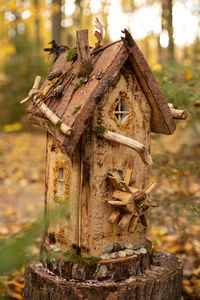 Close-up of birdhouse on tree stump in forest