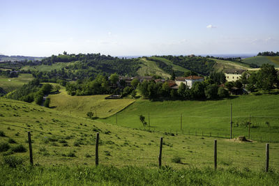 Scenic view of agricultural field against sky