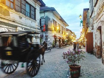 Horse cart on street in city