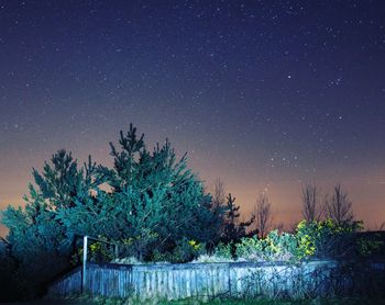 Scenic view of trees against sky at night