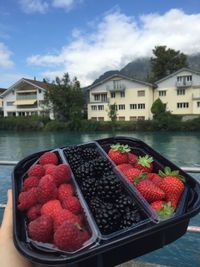 Red fruits in front of building