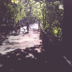 People walking on road