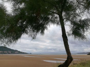 Scenic view of beach