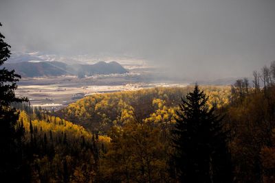 Scenic view of landscape against sky