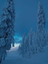 Panoramic view of snow covered mountain against sky