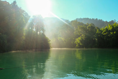 Sunlight streaming through trees on lake during sunny day