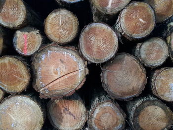 Full frame shot of logs