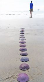 Rear view of woman standing on beach