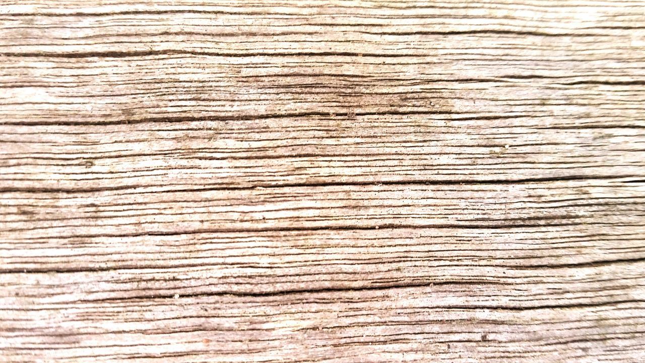 full frame, backgrounds, textured, wood - material, pattern, close-up, wooden, wood, rough, natural pattern, brown, plank, detail, no people, macro, day, nature, outdoors, abstract
