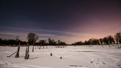 Trees on snow covered field against sky