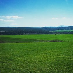 Scenic view of grassy field against cloudy sky