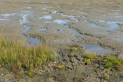 High angle view of wet sand