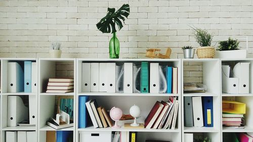 Potted plant on shelf against wall