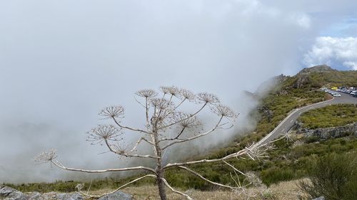 environment