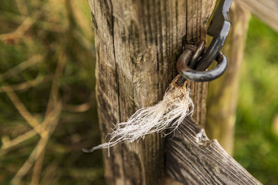Close-up of rope tied on wooden post