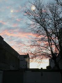 Low angle view of silhouette bare tree against sky