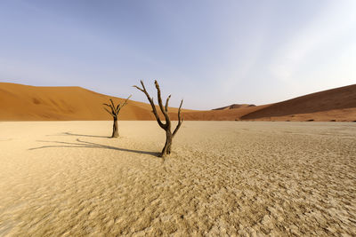 Sand dune in desert against sky