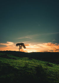 Silhouette trees on field against sky during sunset