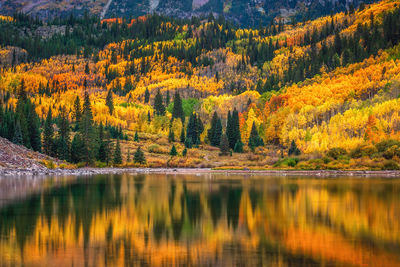 Scenic view of lake in forest during autumn