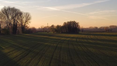 Scenic view of field against sky during sunset