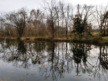 Reflection of bare trees in lake against sky