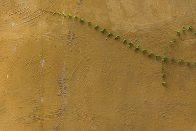 High angle view of sand on beach