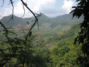 Scenic view of mountains