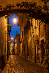 Street amidst illuminated buildings at night