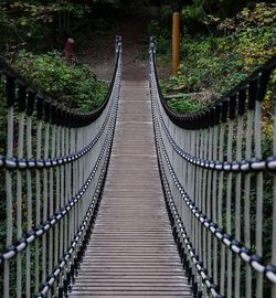 Footbridge amidst trees in forest