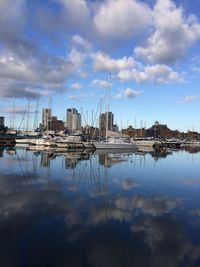 Sailboats moored in harbor against sky