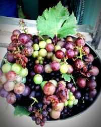 High angle view of grapes in container