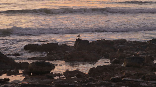 coast