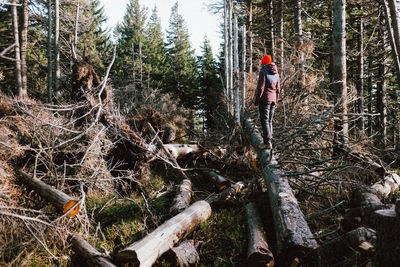 Man climbing on tree in forest