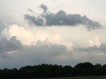 Low angle view of trees against sky