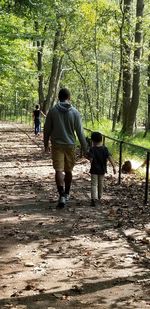 Rear view of men walking on footpath in forest