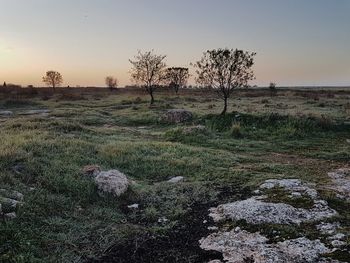 Scenic view of field against sky during sunset