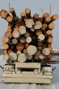 Close-up of logs