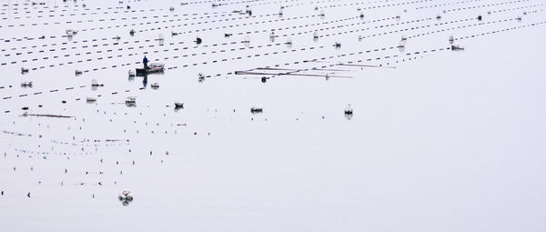 High angle view of birds flying over lake