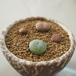 Close-up of bread in bowl