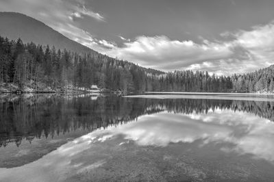 Scenic view of lake by trees against sky