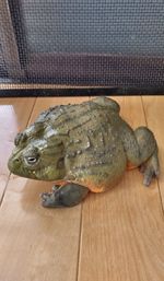 High angle view of turtle on table