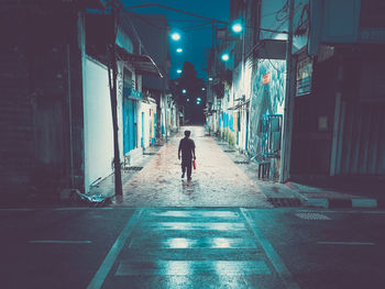 Rear view of person walking on illuminated street at night