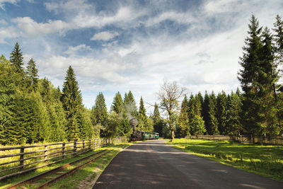 Road amidst trees against sky