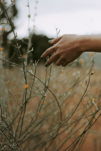 Midsection of woman holding plant