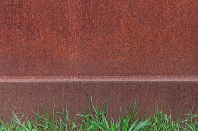 Full frame shot of brown wall