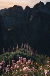 Scenic view of rocky mountains